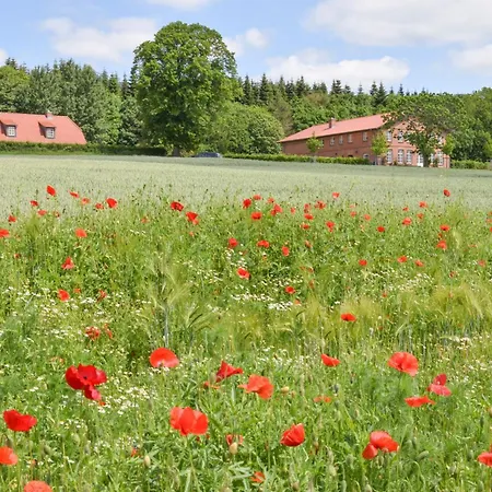 Gut Immenhof - 6 דירה